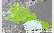Physical Map of Mishan, desaturated