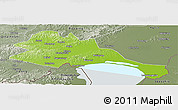Physical Panoramic Map of Mishan, semi-desaturated