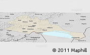 Shaded Relief Panoramic Map of Mishan, desaturated