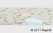 Shaded Relief Panoramic Map of Mishan, semi-desaturated