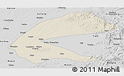 Shaded Relief Panoramic Map of Qing An, desaturated