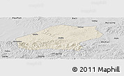Shaded Relief Panoramic Map of Qitaihe Shi, desaturated