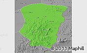 Political 3D Map of Raohe, desaturated