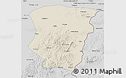 Shaded Relief 3D Map of Raohe, desaturated