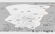 Gray Panoramic Map of Raohe