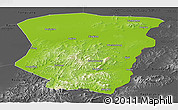 Physical Panoramic Map of Raohe, darken, desaturated
