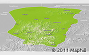 Physical Panoramic Map of Raohe, lighten, desaturated