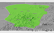 Political Panoramic Map of Raohe, desaturated