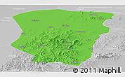 Political Panoramic Map of Raohe, lighten, desaturated