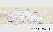 Classic Style Panoramic Map of Shuangyashan Shi
