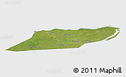 Satellite Panoramic Map of Suibin, single color outside