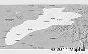 Gray Panoramic Map of Suileng
