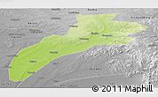 Physical Panoramic Map of Suileng, desaturated