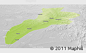 Physical Panoramic Map of Suileng, lighten, desaturated