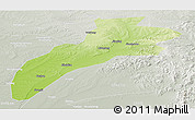 Physical Panoramic Map of Suileng, lighten, semi-desaturated