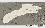 Shaded Relief Panoramic Map of Suileng, darken