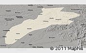 Shaded Relief Panoramic Map of Suileng, darken, semi-desaturated