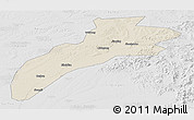 Shaded Relief Panoramic Map of Suileng, lighten, desaturated