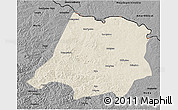 Shaded Relief 3D Map of Tahe, darken, desaturated