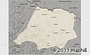 Shaded Relief 3D Map of Tahe, darken, semi-desaturated