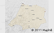 Shaded Relief 3D Map of Tahe, lighten, desaturated