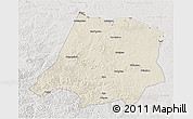 Shaded Relief 3D Map of Tahe, lighten, semi-desaturated