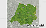 Satellite Map of Tahe, lighten, semi-desaturated