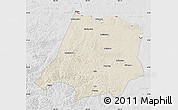 Shaded Relief Map of Tahe, lighten, desaturated