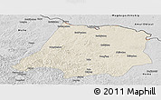 Shaded Relief Panoramic Map of Tahe, desaturated