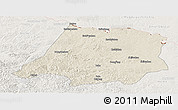 Shaded Relief Panoramic Map of Tahe, lighten