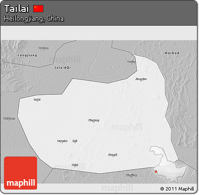 Gray 3D Map of Tailai