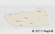 Shaded Relief Panoramic Map of Tailai, lighten, desaturated