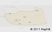 Shaded Relief Panoramic Map of Tailai, lighten, semi-desaturated