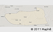 Shaded Relief Panoramic Map of Tailai, semi-desaturated