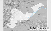 Gray 3D Map of Tangyuan
