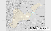 Shaded Relief Map of Tangyuan, desaturated