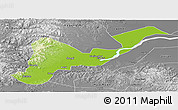 Physical Panoramic Map of Tangyuan, desaturated