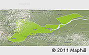 Physical Panoramic Map of Tangyuan, semi-desaturated