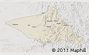 Shaded Relief 3D Map of Tieli, lighten, semi-desaturated