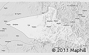 Silver Style 3D Map of Tieli
