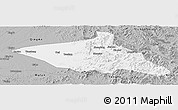 Gray Panoramic Map of Tieli