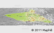 Physical Panoramic Map of Tieli, desaturated