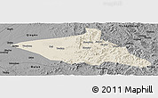 Shaded Relief Panoramic Map of Tieli, darken, desaturated
