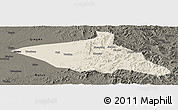 Shaded Relief Panoramic Map of Tieli, darken