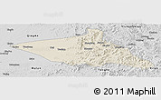 Shaded Relief Panoramic Map of Tieli, desaturated