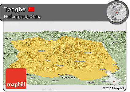 Savanna Style Panoramic Map of Tonghe