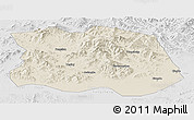 Shaded Relief Panoramic Map of Tonghe, lighten, desaturated