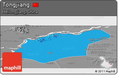 Political Panoramic Map of Tongjiang, desaturated