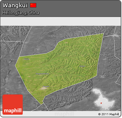 Satellite 3D Map of Wangkui, desaturated