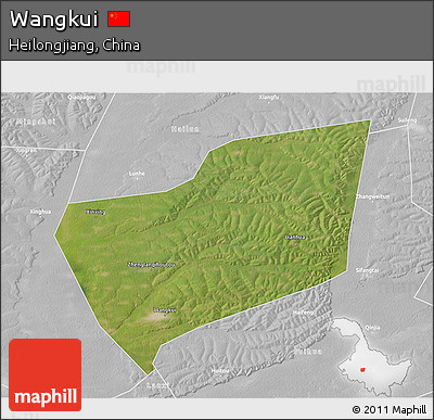 Satellite 3D Map of Wangkui, lighten, desaturated